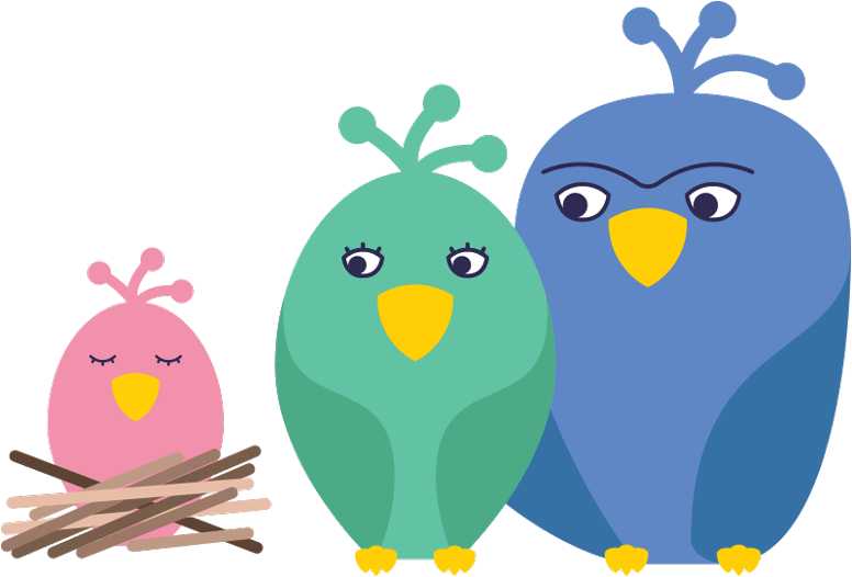 Birds - Order (776x526), Png Download