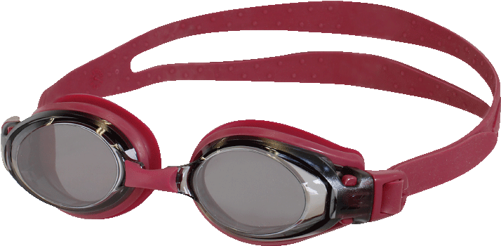 Swans Polarized Outdoor Swimming Goggle Fo-x1p - Swans Fo-x1p Kouřová (842x595), Png Download