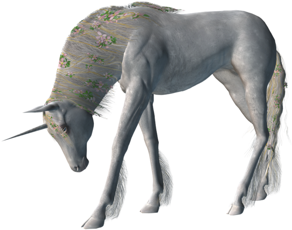 Unicorn (700x525), Png Download