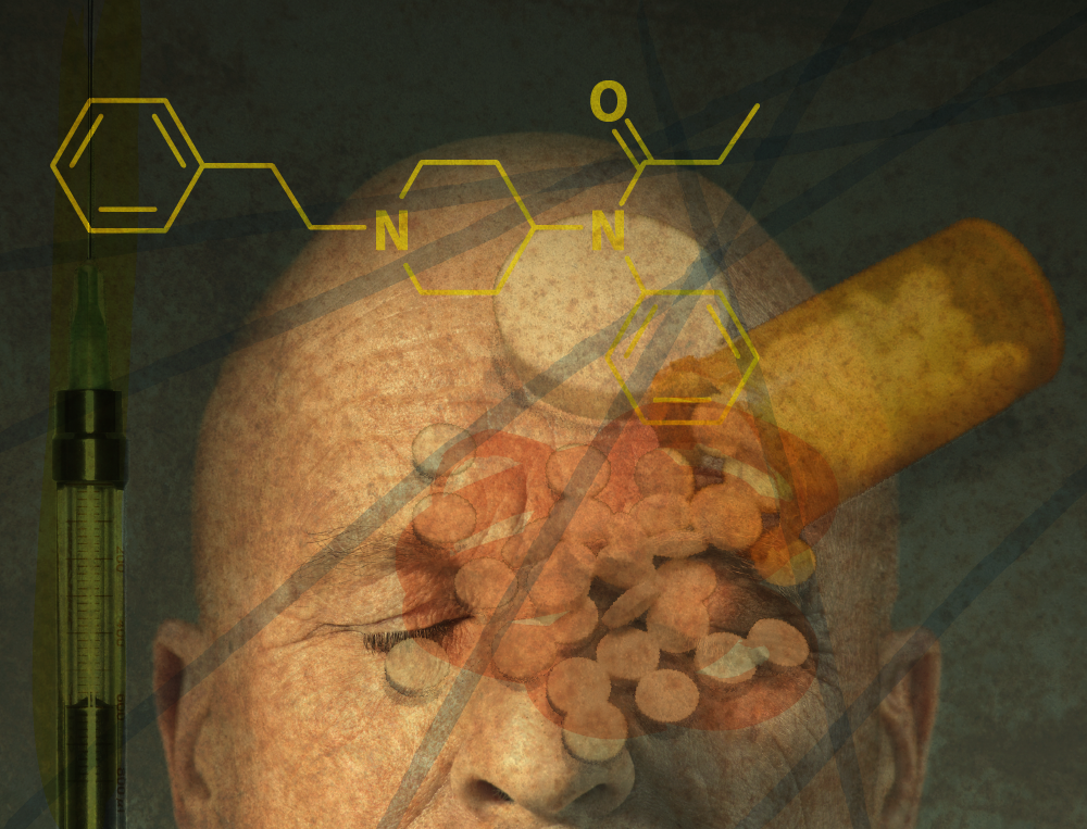 Alissa Scheller/the Huffington Post - Still Life Photography (1000x763), Png Download