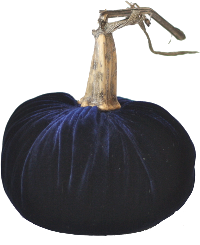 Midnight Blue Velvet Pumpkin With Real Stem - Pumpkin (1024x1024), Png Download