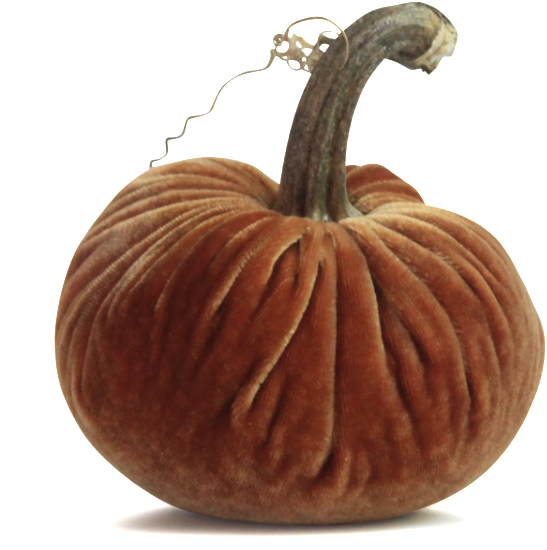 Original Plush Pumpkins - Pumpkin (1024x1024), Png Download