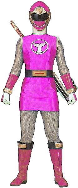 Pink Ninja Storm Ranger - Power Ranger Ninja Storm Pink Ranger (250x597), Png Download