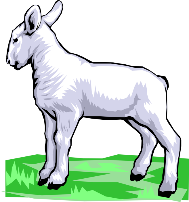 Vector Illustration Of Newborn Baby Lamb Sheep Standing (657x700), Png Download
