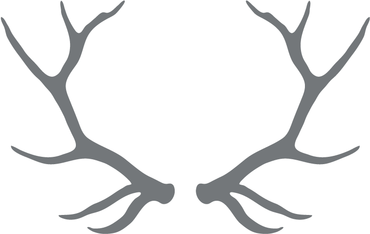 Free Reindeer Antlers Transparent - Always - Harry Potter Baby Onesies (1039x697), Png Download