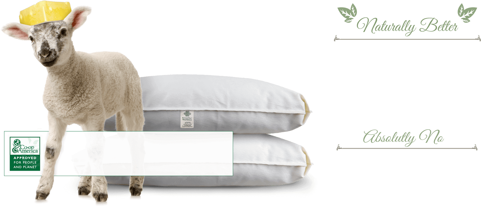 Natural Wool For Pillows & Mattresses - Dermedik Placenta Extract 100% Hyaluronic Acid Vitamin (2000x961), Png Download