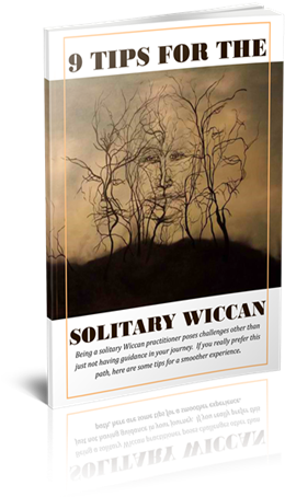 A79bcd8cc0cb1489455907 9 Tips For Wiccans Cover 3d600 - Poster (325x500), Png Download