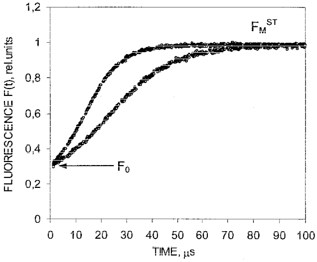 Flash Fluorescence Induction Of Scenedesmus Quadricauda - Plot (636x527), Png Download
