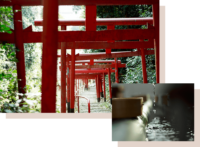 Futaba No Sato Historical Walking Trail Futaba No Sato - Futabanosatorekishinosanpomichi Bus Stop (690x508), Png Download