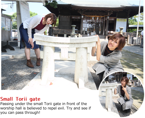 Small Torii Gate - Mini Cooper (490x398), Png Download