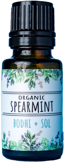 Parsley (640x640), Png Download