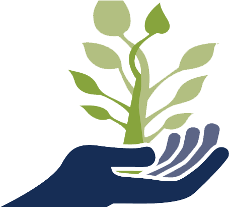 Plant In Hand Png - Plant On Hand Png (576x409), Png Download