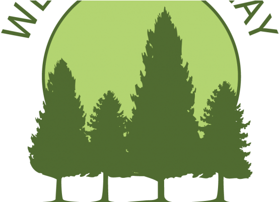 Ecosociety Logo 2012 Square - Opening Day: A Short Story (600x400), Png Download