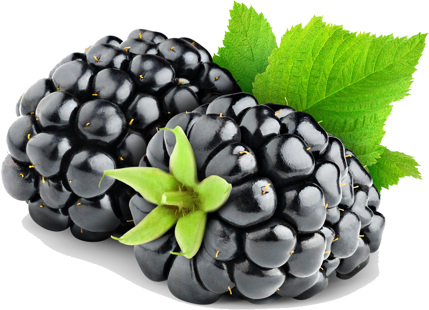 Blackberry Fruit Png Hd Png Image - Blackberry Powder - Organic Freeze Dried 40 Lbs (1000x784), Png Download