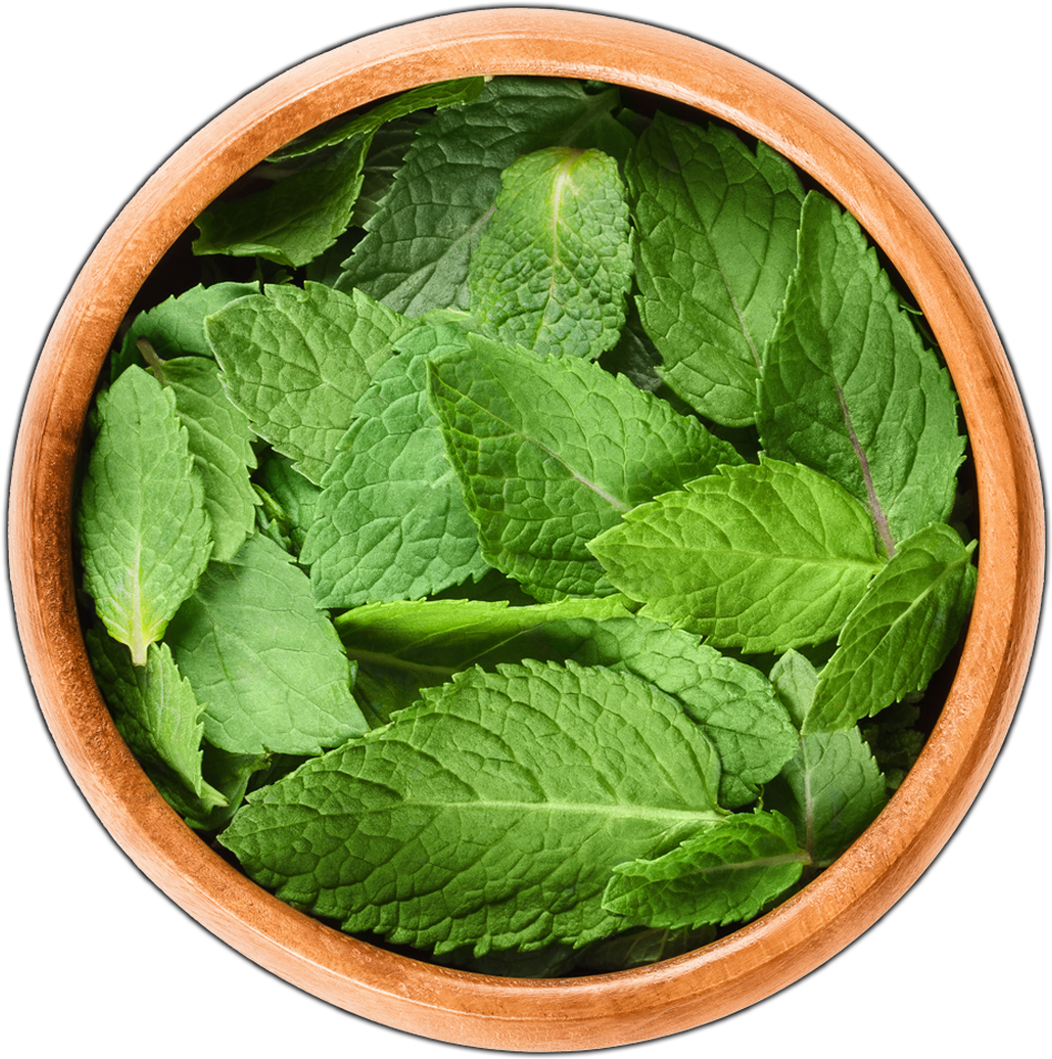 Peppermint (1200x1000), Png Download