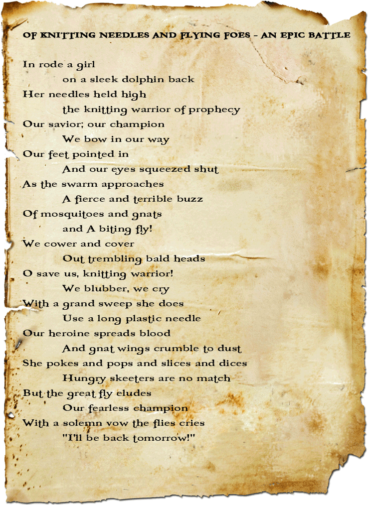 Of Knitting Needles And Flying Foes - Pirate And Mermaid Poem (800x1096), Png Download