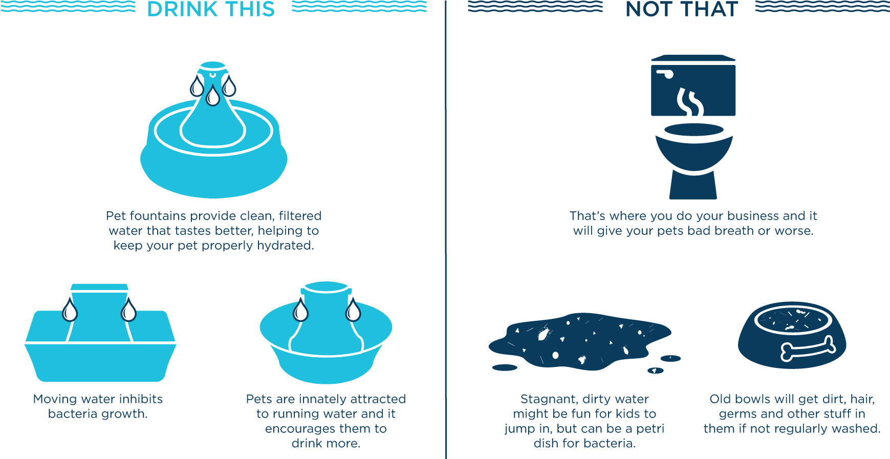 Knowing Your Pet Is Drinking Clean Water Is Just As - Pet (1833x1053), Png Download