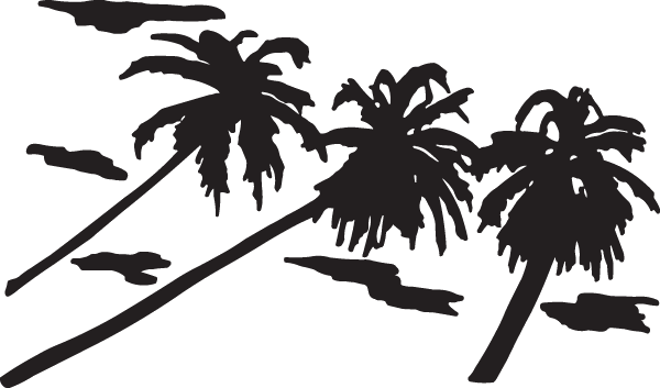 Palm Trees (600x353), Png Download