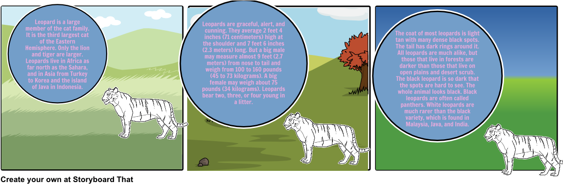 Choose How To Print This Storyboard - Siberian Tiger (1164x385), Png Download