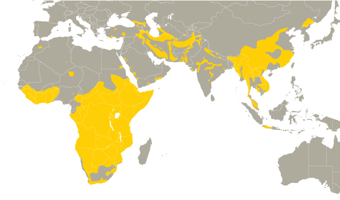 Range Map - Mudpuppy Where Do They Live (665x401), Png Download