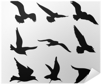 Flying Birds Silhouettes Illustration Poster • Pixers® - Sagome Uccelli In Volo (400x400), Png Download