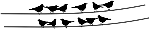 Birds,wire,cable,sitting Birds,free Vector Graphics - Bird Silhouette (500x250), Png Download