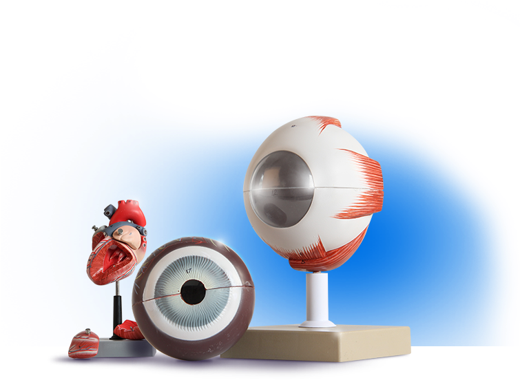 Biology Biology Biology - Biology Lab Equipment Png (983x575), Png Download