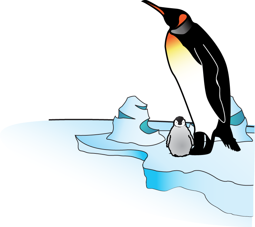 Vector - Png - Penguin Vector (841x750), Png Download