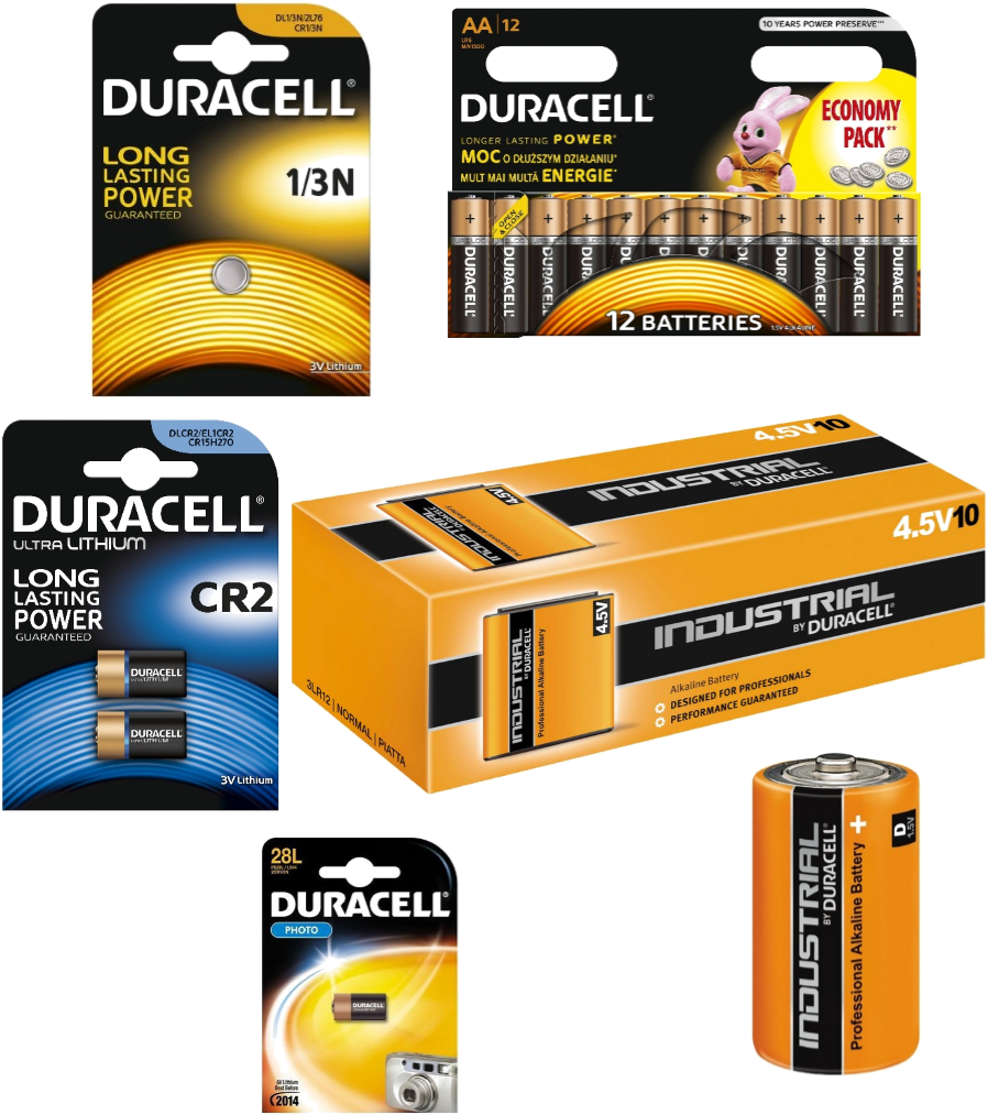 Button Cells Help You With Small Energy Problems In - Duracell Basic Aa 12 Pcs Battery (963x1093), Png Download