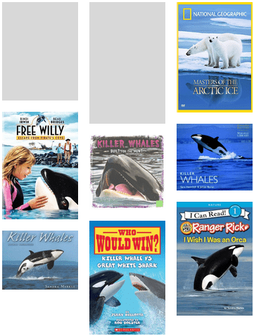 free willy escape from pirate's cove