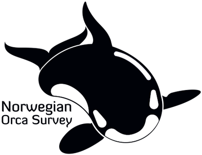 Killer Whale (640x360), Png Download