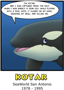 Orca Aware - All Orcas In Captivity (305x407), Png Download