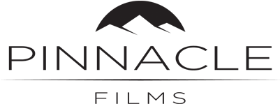 Disney, Roadshow Films, Warner Bros, Sony, Icon, Studiocanal, - Pinnacle Films Logo (400x362), Png Download