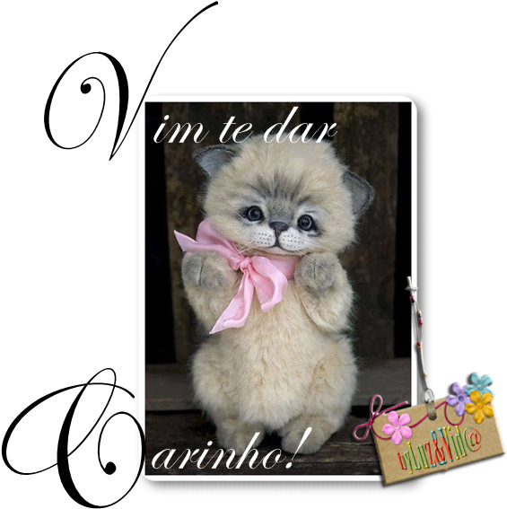 Num Momento Em Que Perdi O Teu Olhar E Esqueci-me Do - Fabulous (575x570), Png Download