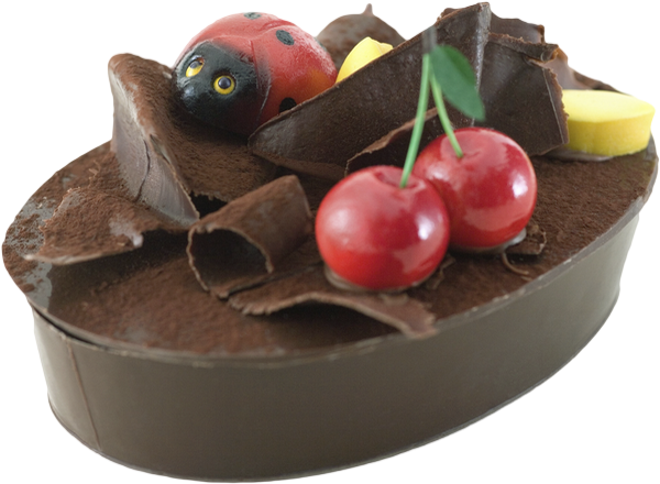 Chocolat Png, Tube - Chocolate (600x440), Png Download