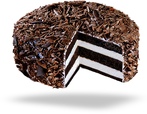 Cake & Novelties - Chocolate Cake (500x450), Png Download
