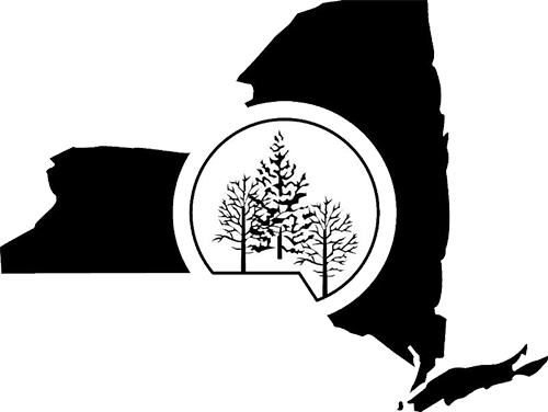 Empire State Forest Products Association - Adirondack Mountains (500x376), Png Download