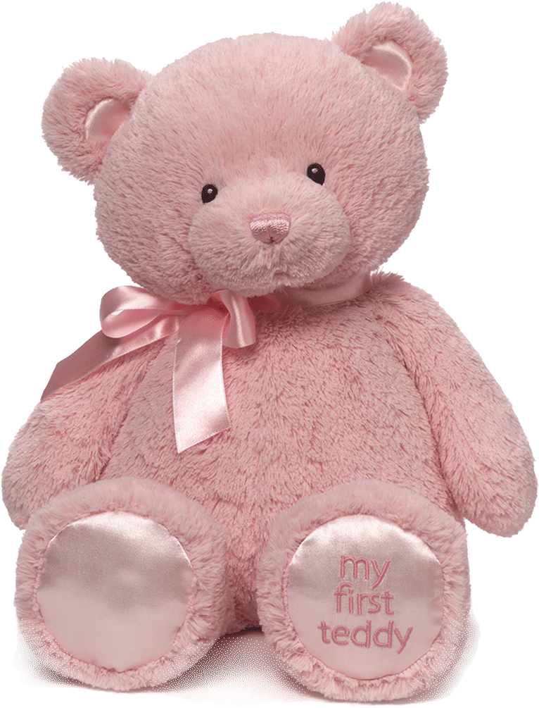My 1st Teddy Pink Front - Gund Large My First Teddy - Pink (1024x1024), Png Download