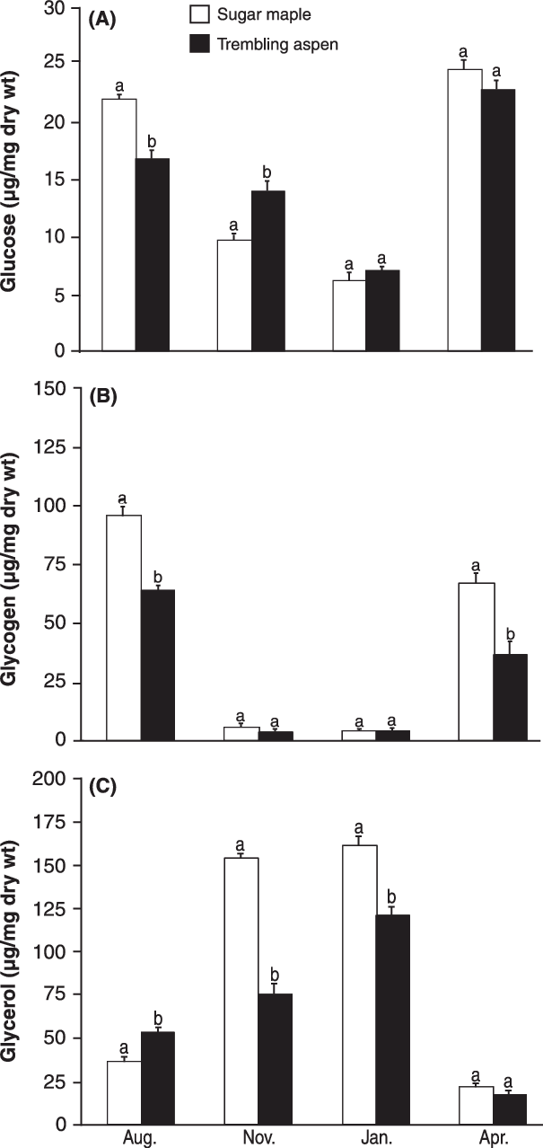 Glucose , Glycogen (b), And Glycerol (c) Levels (mean - Forest Tent Caterpillar Moth (605x1278), Png Download