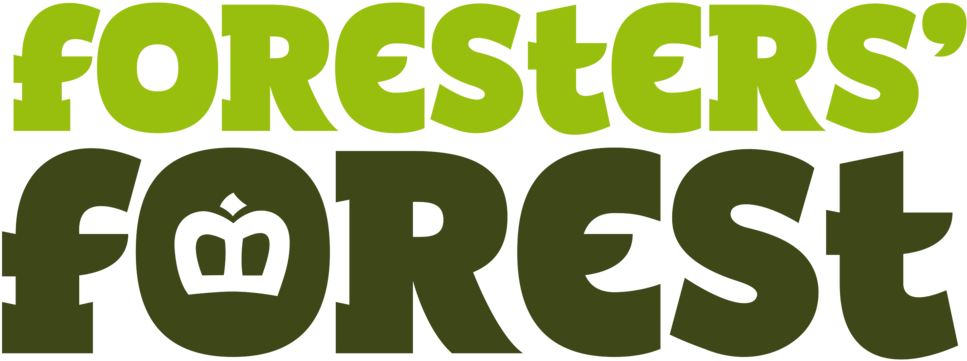 Foresters Forest - Forest (1000x430), Png Download