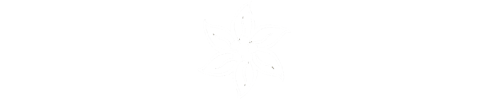 Home Thealpinesisters 2017 10 07t16 - Jeff Bezos Work Hard Have Fun (722x212), Png Download