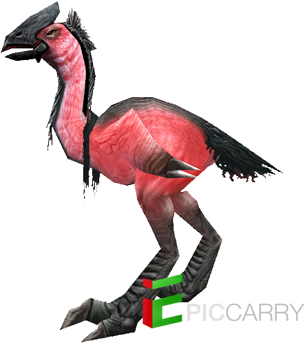 Swift Lovebird (500x500), Png Download