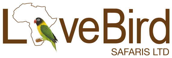 Travel - Keep Safe On The Internet (597x205), Png Download