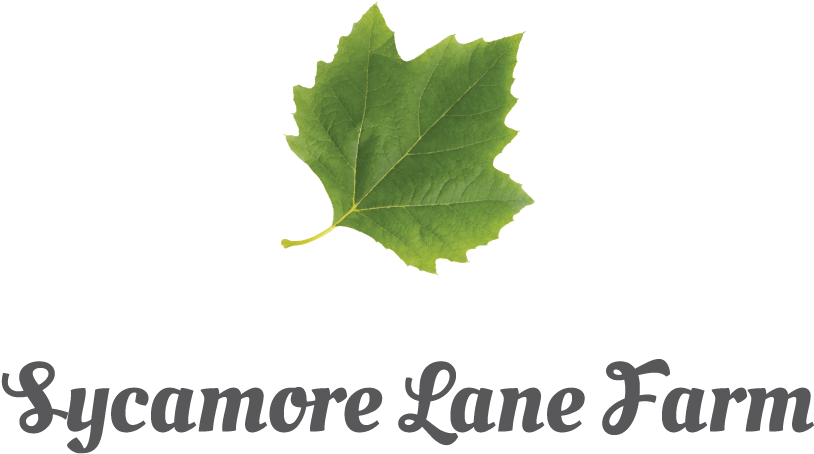 Elegant, Personable, Agribusiness Logo Design For A - Faezeh Name (1500x1500), Png Download