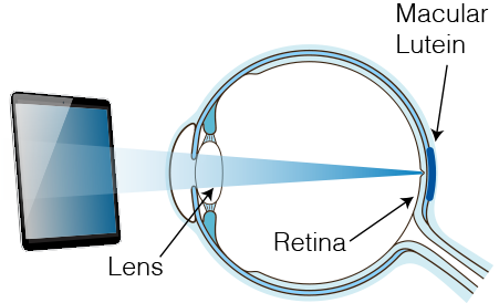 Research Also Shows That These Digital Devices Emit - Diagram (451x274), Png Download