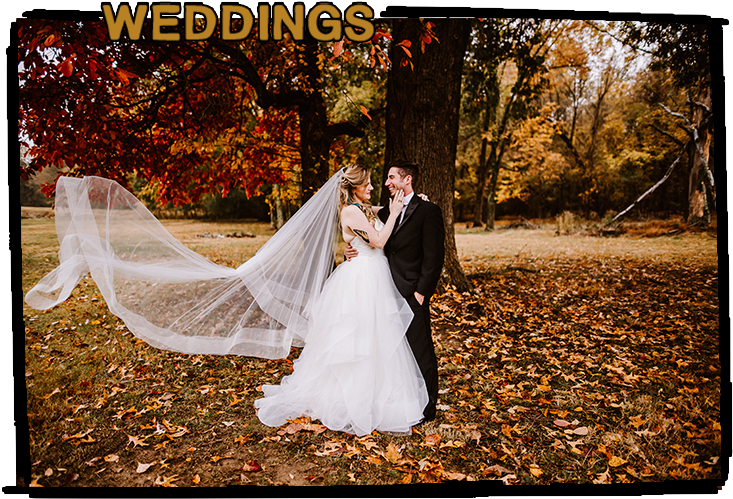 Untitled-1 - Ashley Benham Photography (775x545), Png Download