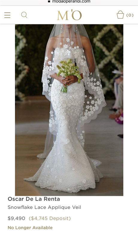 Pin It - Appliques Cathedral Wedding Veil (1024x768), Png Download