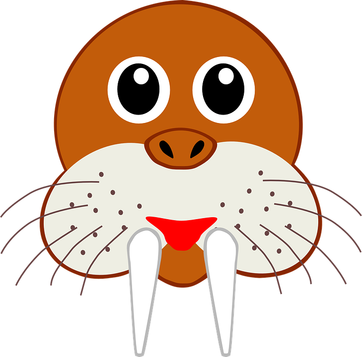 Mammal Clipart Animal Face - Seal Santa Note Cards (pk Of 10) (729x720), Png Download