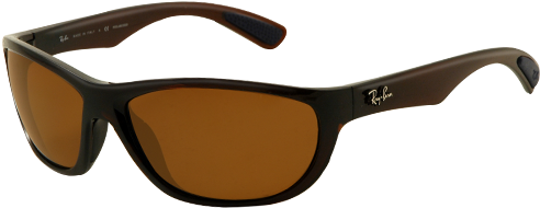 Ray Ban Rb4188 Shiny Brown Polarised Sunglasses - Tory Burch Ty7044 (500x300), Png Download