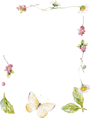 White Flower Border Png Index Of /users/tbalze/flower/png - Lotus Flower Frames Png (332x400), Png Download